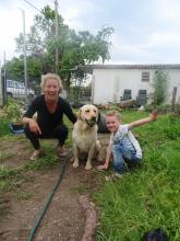 Sunny, de therapeut verstopt in een zachte verpakking, wint het vertrouwen van kinderen en volwasssen met angst voor honden